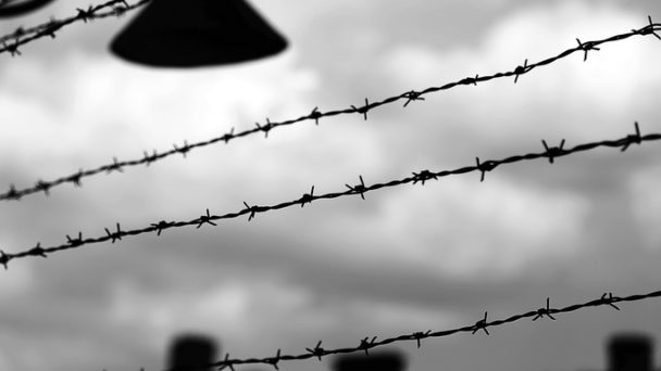 barbed wire in black and white