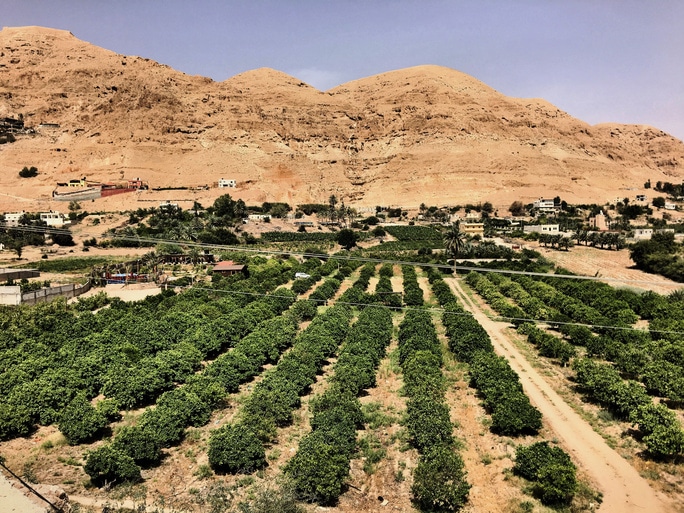 Farmland in the Israeli desert