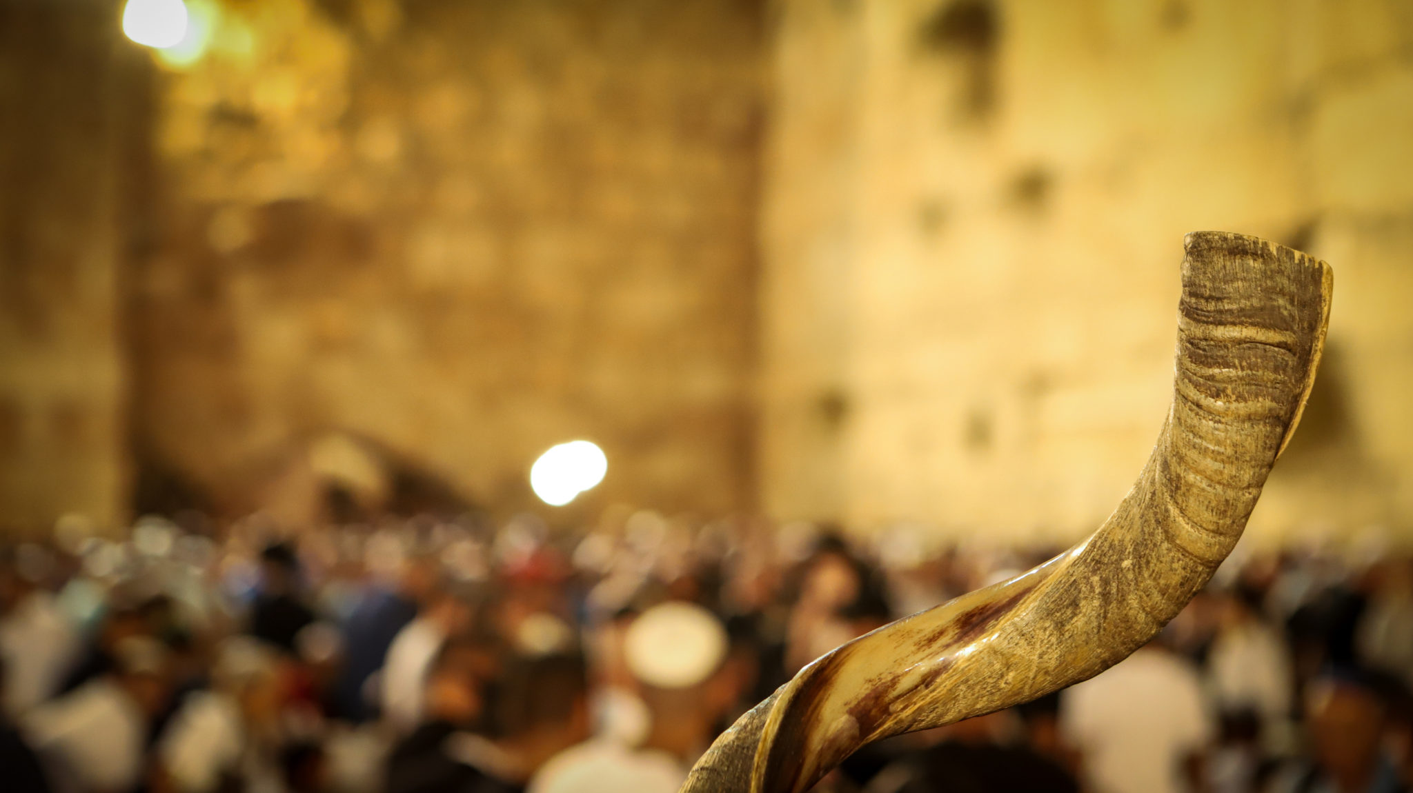 Fall Feasts A Complete Guide to the Jewish High Holidays — FIRM Israel