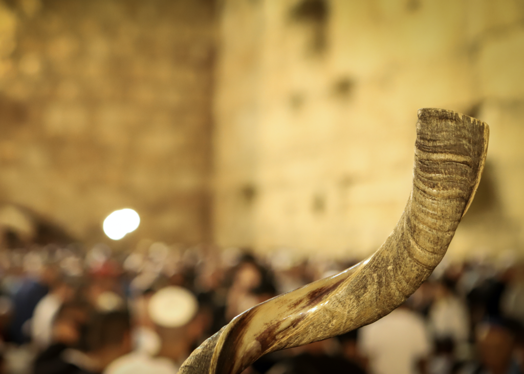 Why Blow The Shofar On Rosh Hashanah? — FIRM Israel