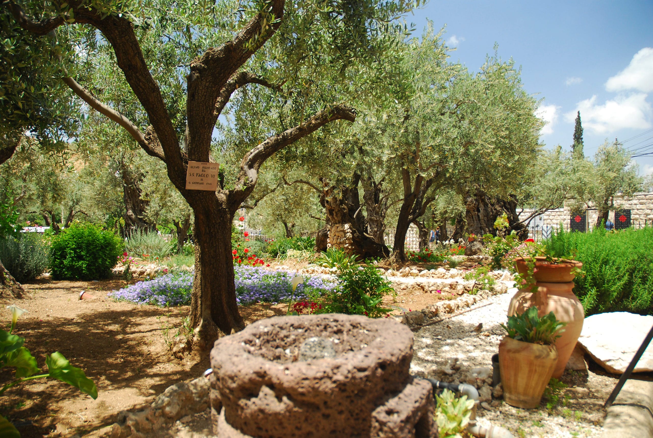 Garden of Gethsemane, Jerusalem