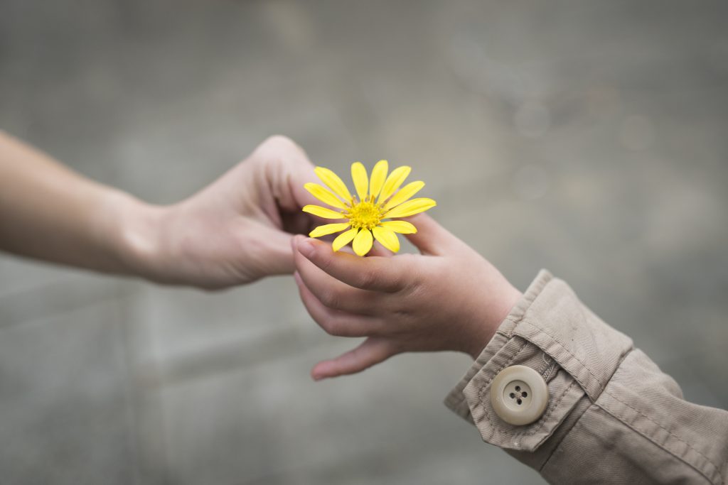someone handing a yellow flower to a child
