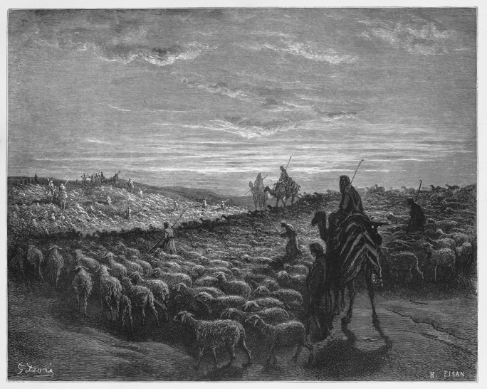 black and white photo of shepherd