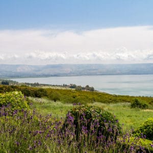 Panoramic view of the sea of Galilee from the Mount of Beatitude
