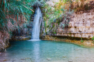 Walk in the national park Ein Gedi, Israel