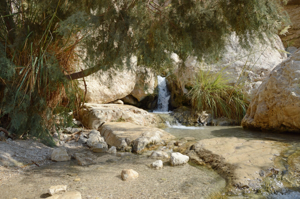 Waterfall in the rocks of Ein Gedi Dead Sea in the desert of israel