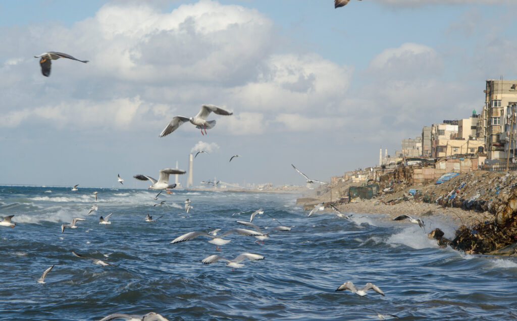 Gaza coast