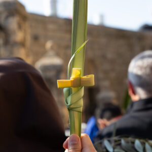 Palm Sunday, what does the Hebrew word Hosanna mean?