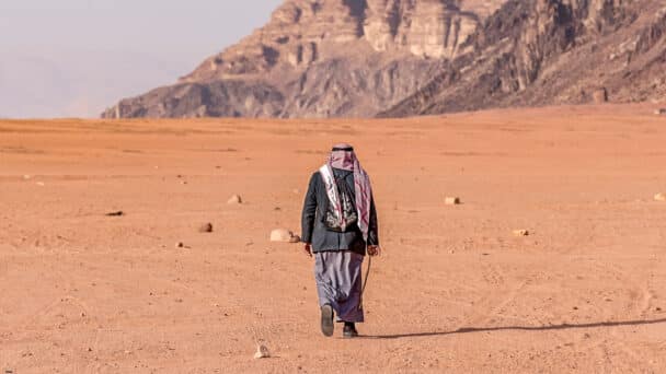 Bedouin shepherd in the desert